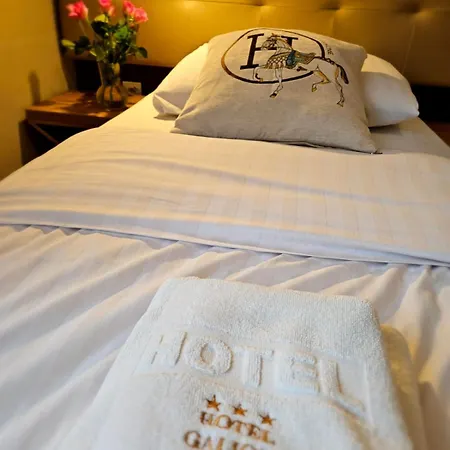Hotel Galicja 3*