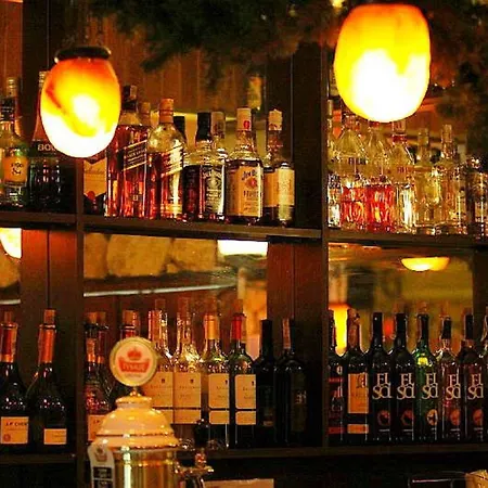 酒店 Galicja 威利兹卡